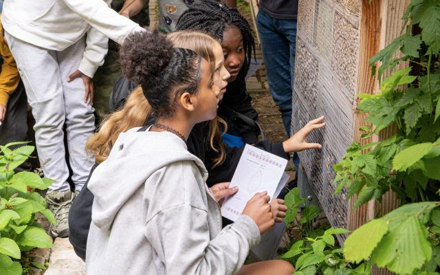 Comment les enfants perçoivent-ils la nature ? 1